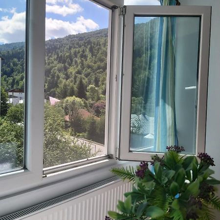 Apartment Valea Azugii Azuga Exteriör bild
