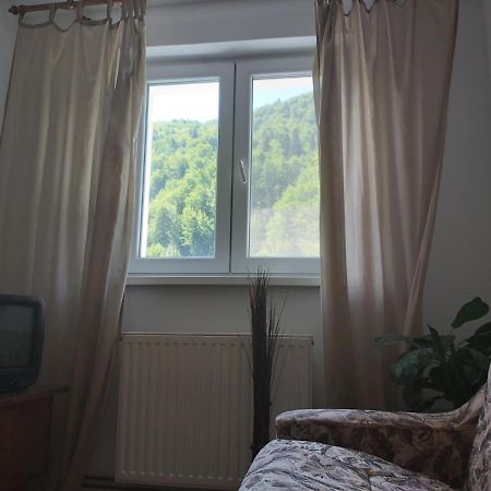 Apartment Valea Azugii Azuga Exteriör bild
