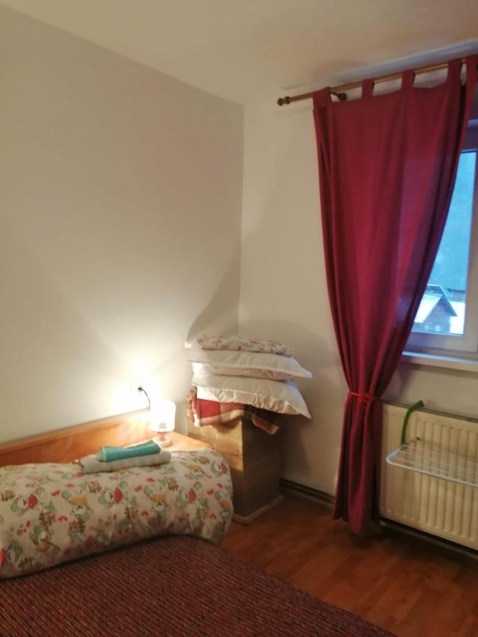 Apartment Valea Azugii Azuga Exteriör bild