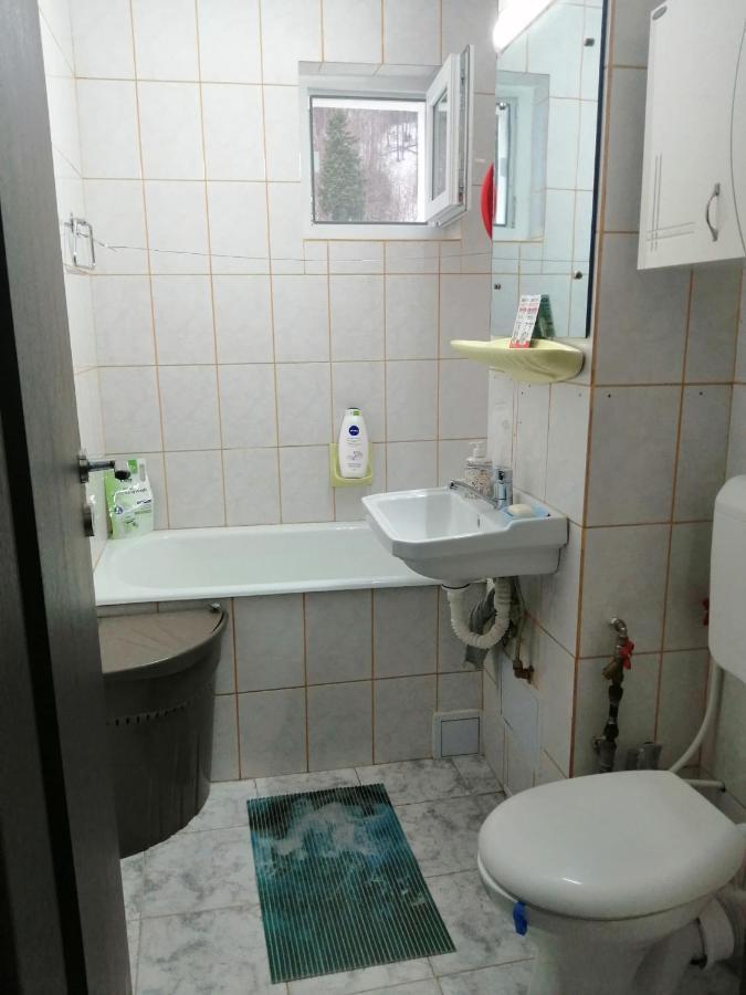 Apartment Valea Azugii Azuga Exteriör bild