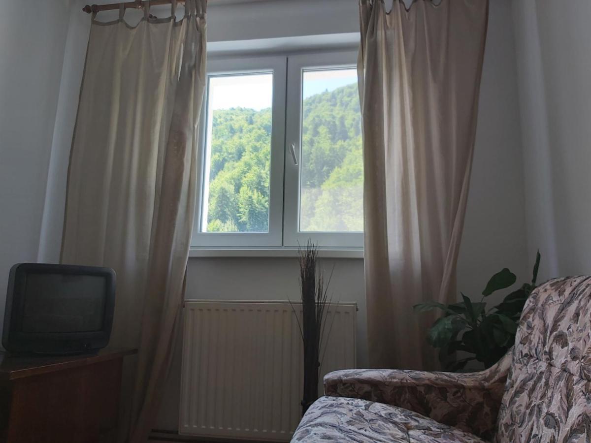 Apartment Valea Azugii Azuga Exteriör bild