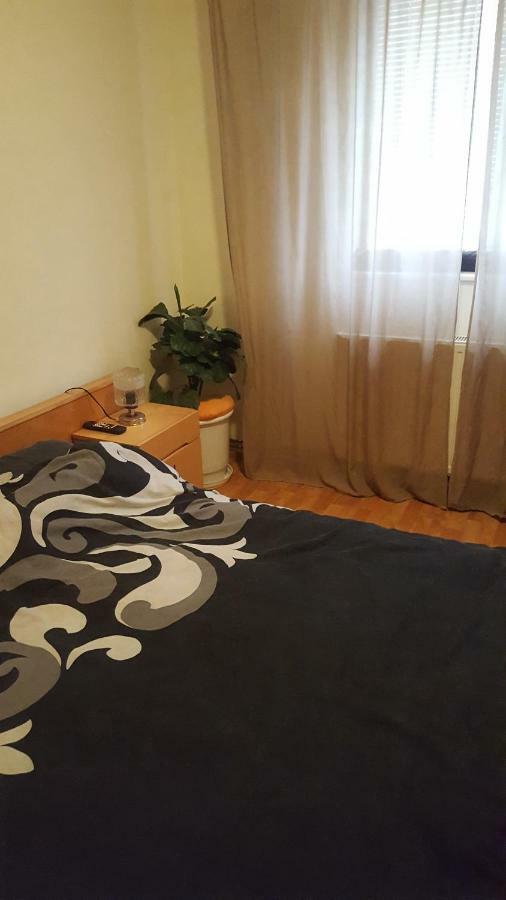 Apartment Valea Azugii Azuga Exteriör bild