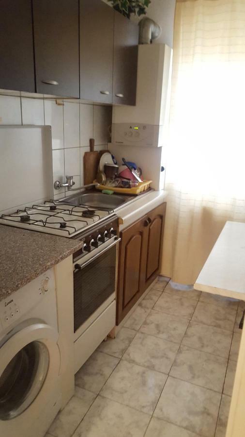 Apartment Valea Azugii Azuga Exteriör bild